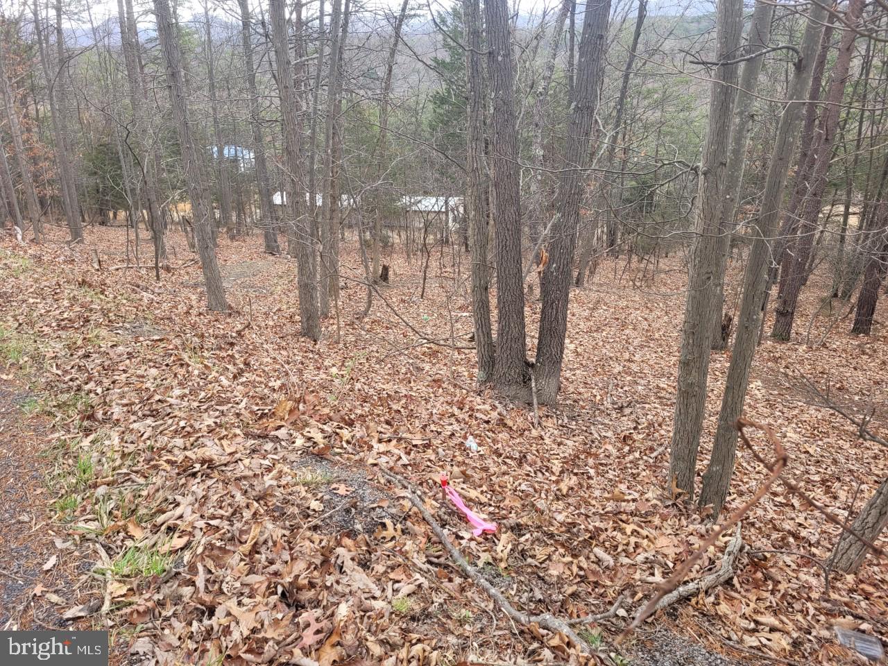 NONE AVAILABLE - Land