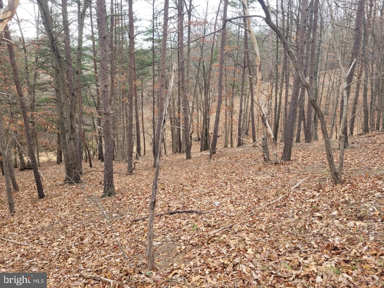 NONE AVAILABLE - Land