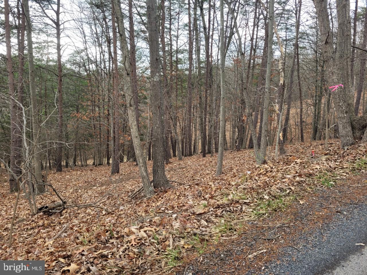 NONE AVAILABLE - Land