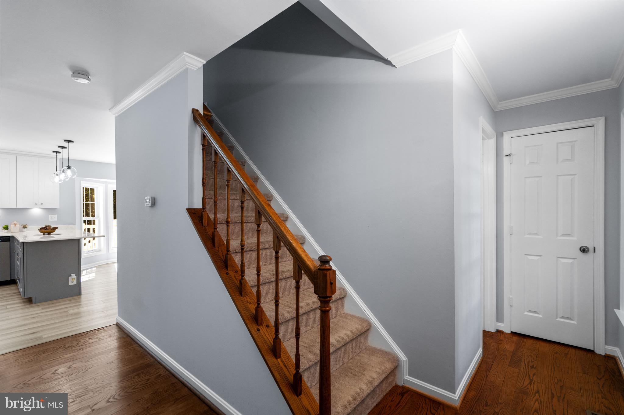 TURKEY RUN ESTATES - Residential