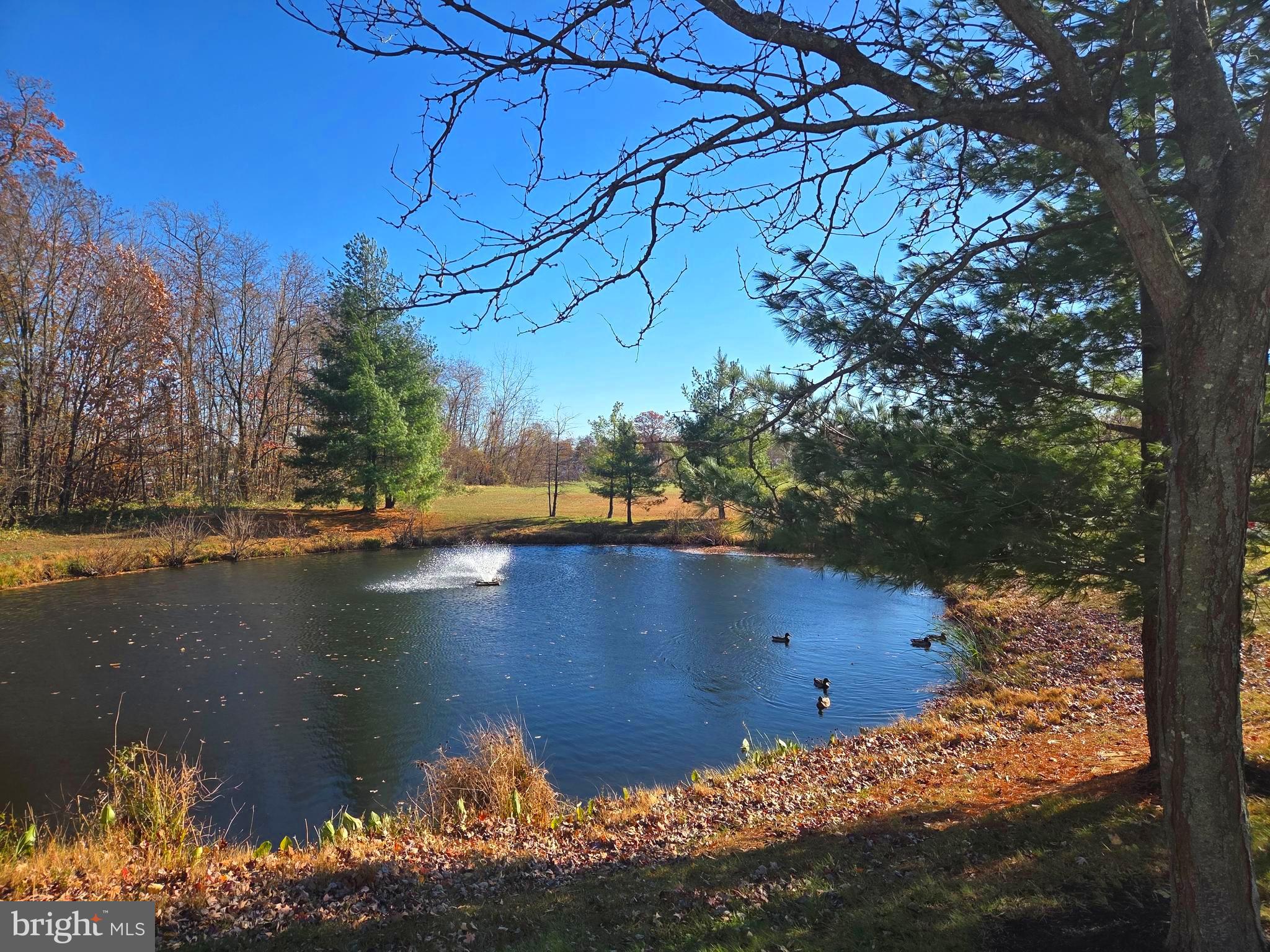 HOPEWELL POINTE - Residential