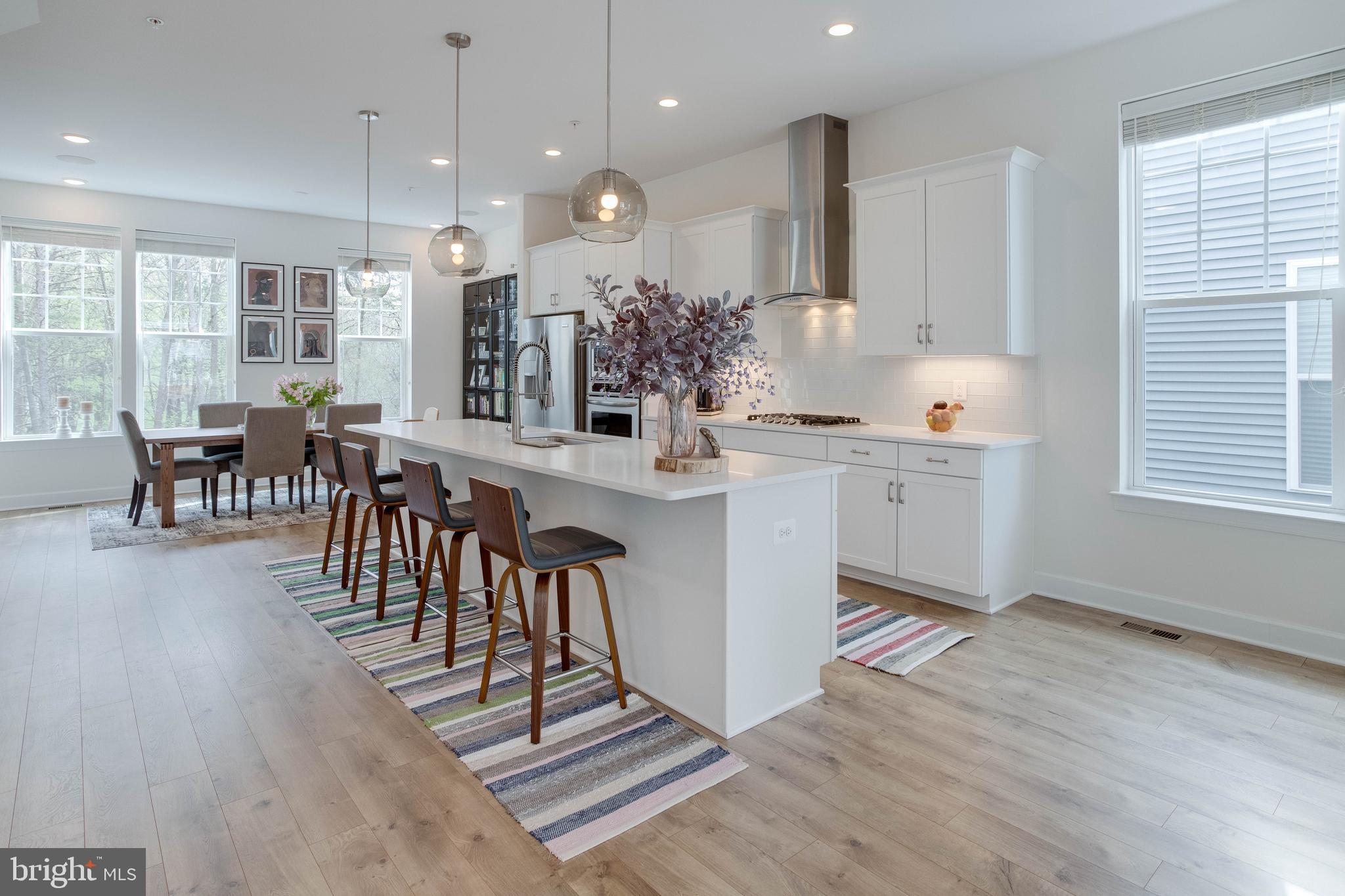 THE VILLAGE AT ARUNDEL MILLS - Residential