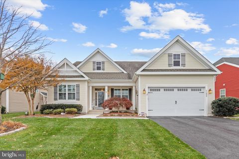 21899 SURF BOARD BOULEVARD MILLSBORO DE 19966