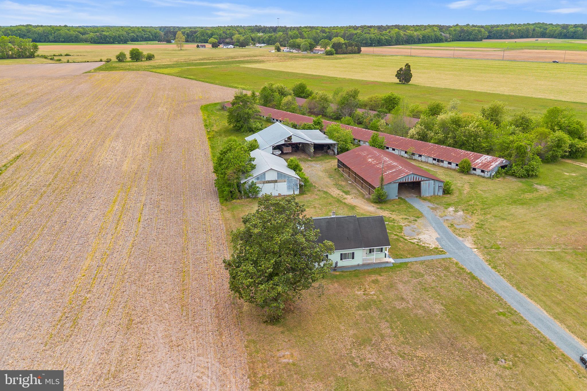 25699 AUCTION ROAD