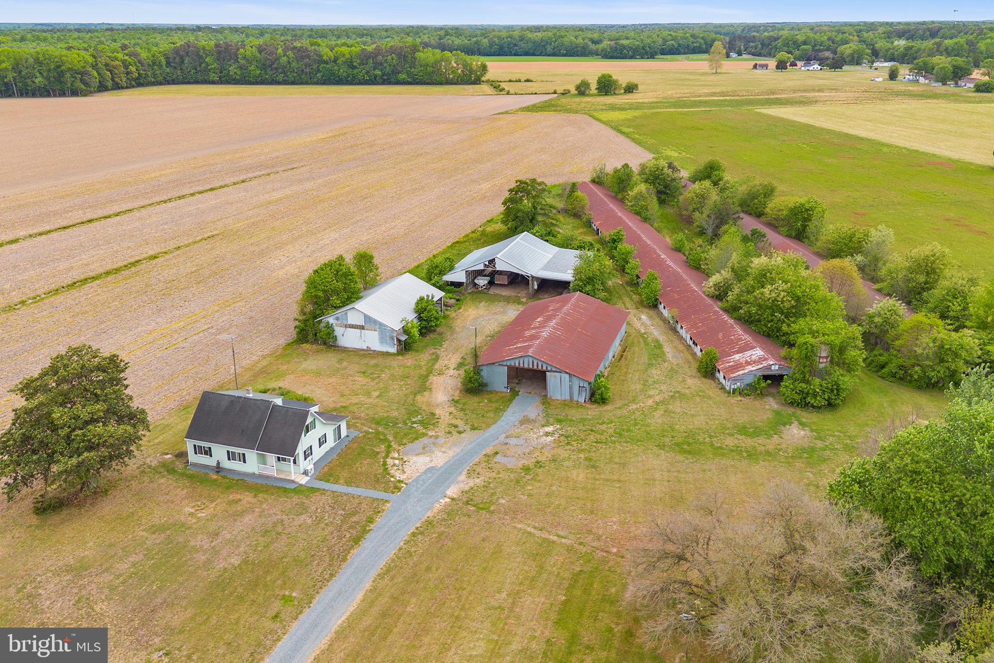 25699 AUCTION ROAD