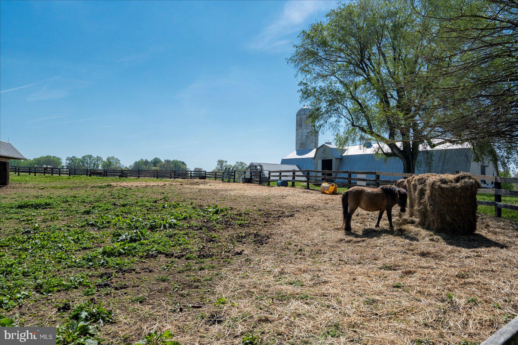 NONE AVAILABLE - Farm