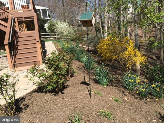 ROLLING FOREST - Residential