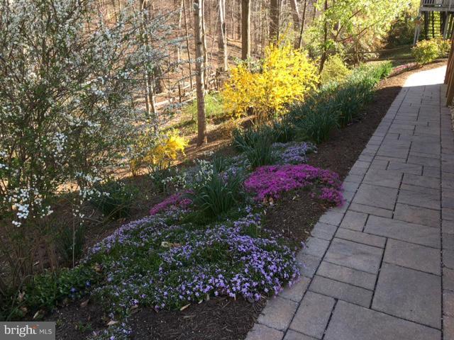ROLLING FOREST - Residential