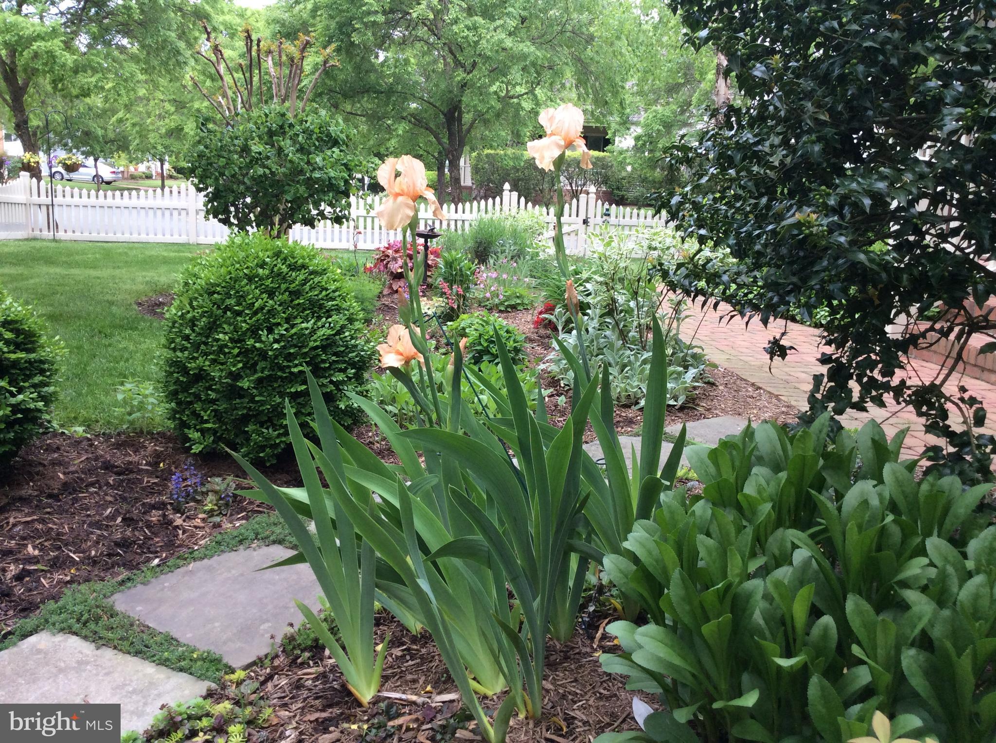 COOKE'S HOPE VILLAGE - Residential