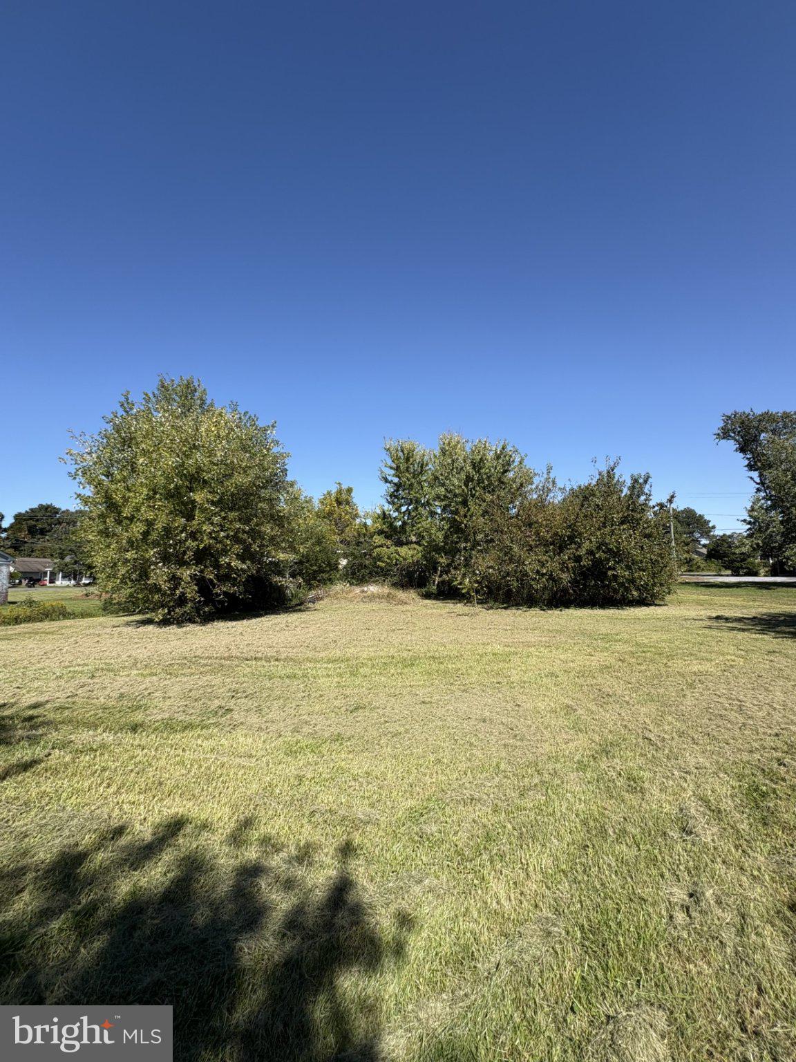22067 DOVER BRIDGE ROAD