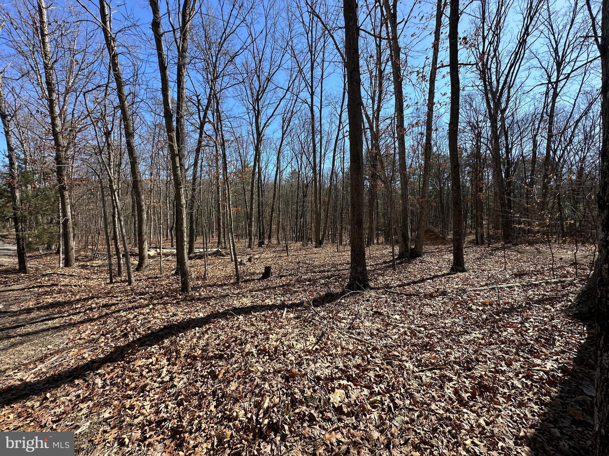 LAKE FERNDALE - Land