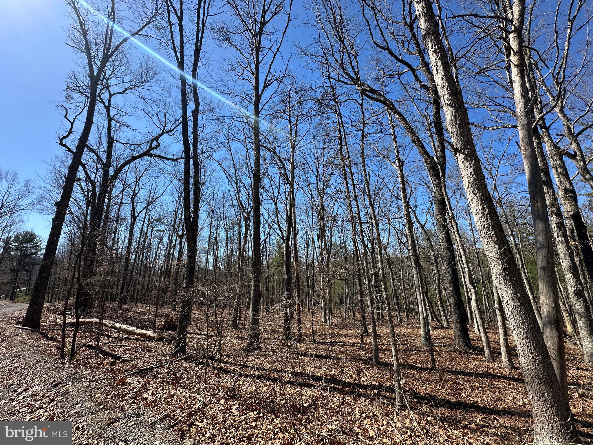 LAKE FERNDALE - Land