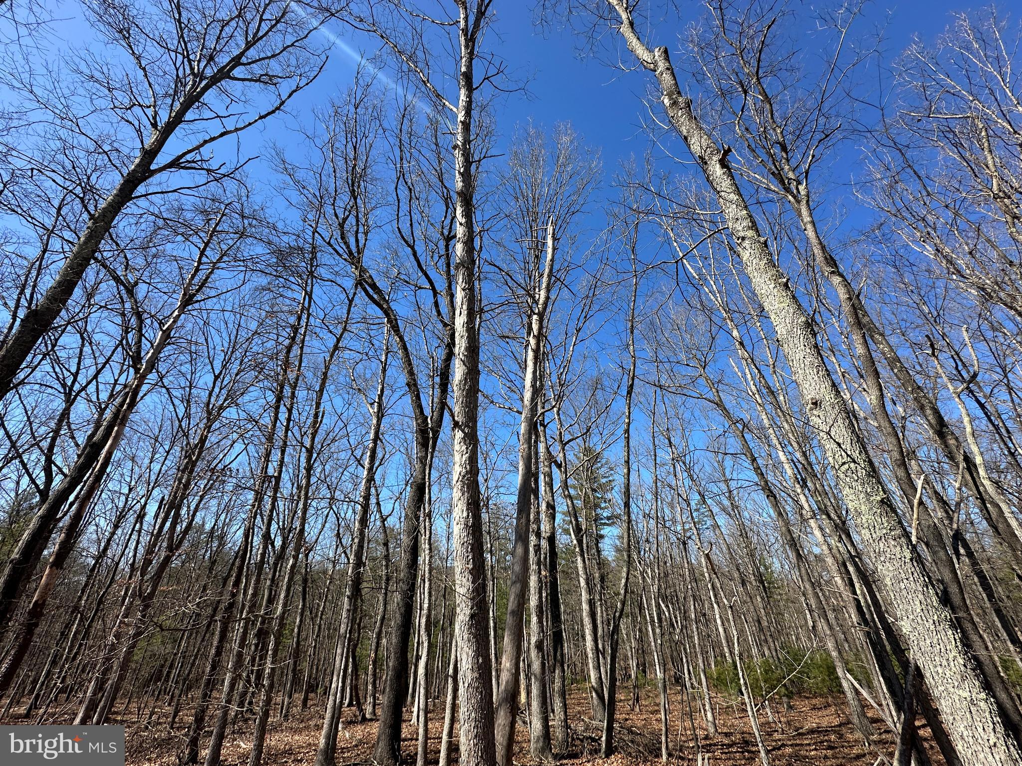 LAKE FERNDALE - Land