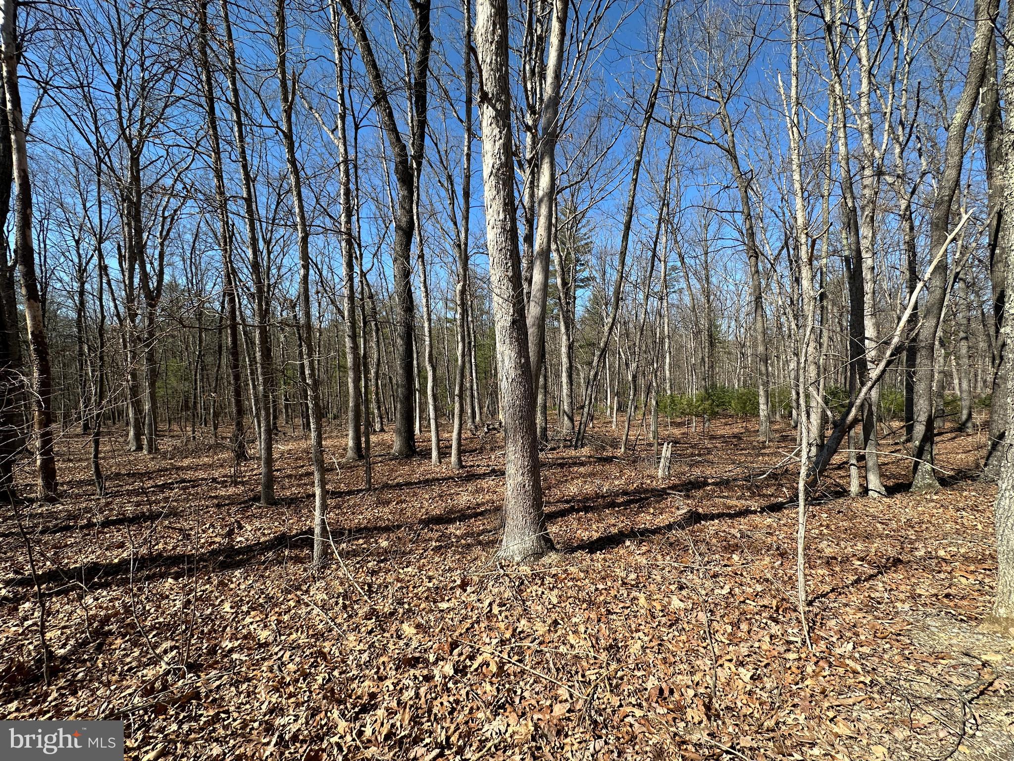 LAKE FERNDALE - Land