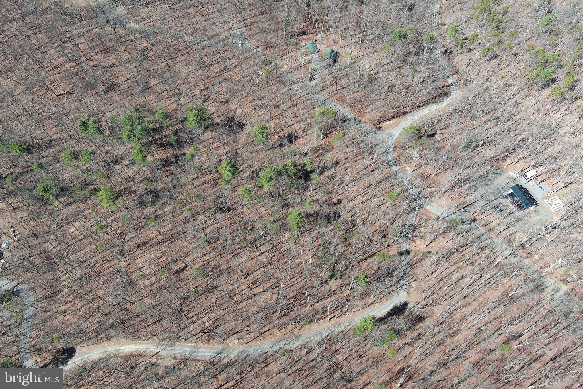 LAKE FERNDALE - Land