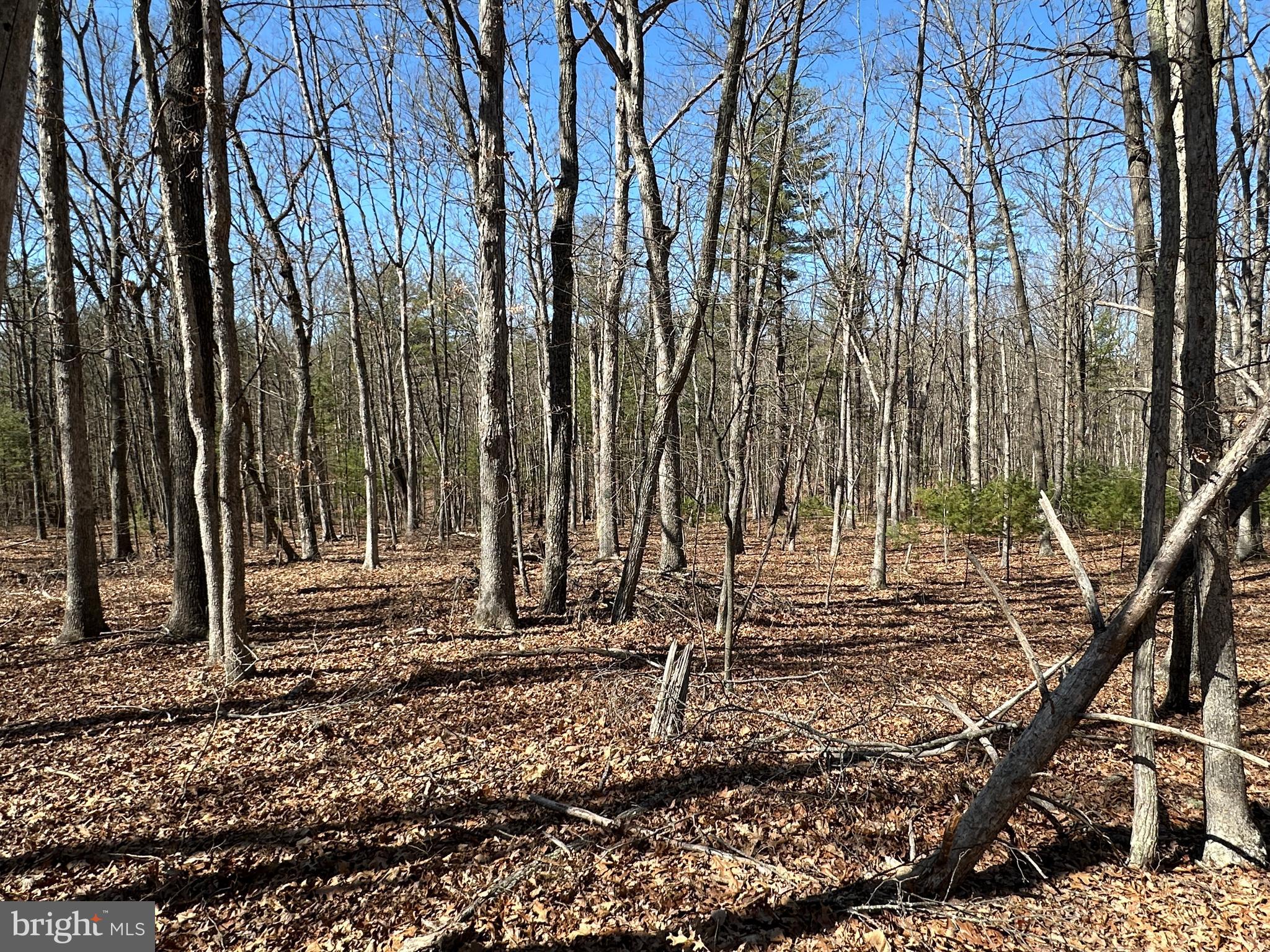 LAKE FERNDALE - Land