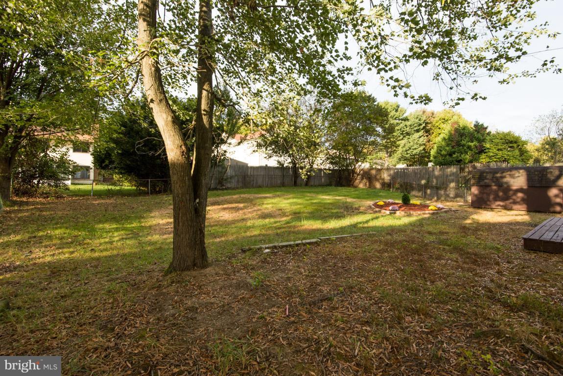 POINTER RIDGE - Residential