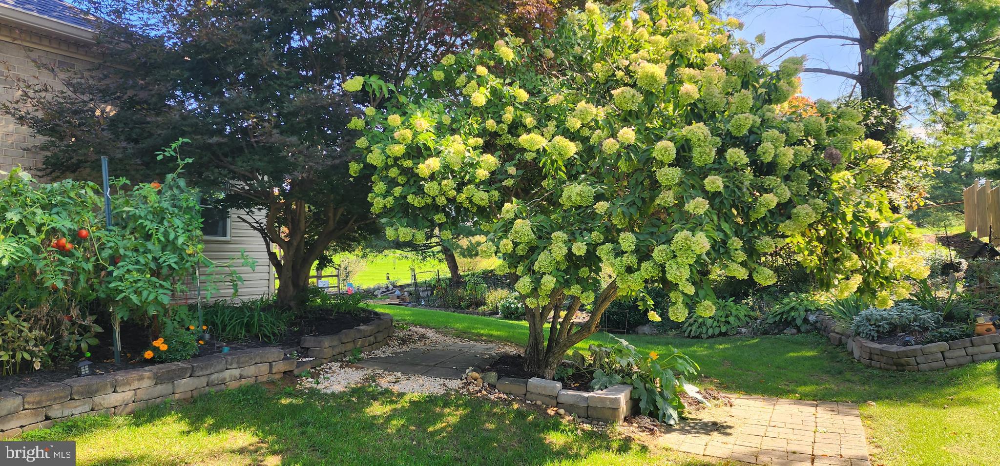 SHEN VALLEY GOLF - Residential