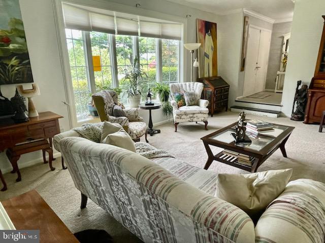 SHEN VALLEY GOLF - Residential