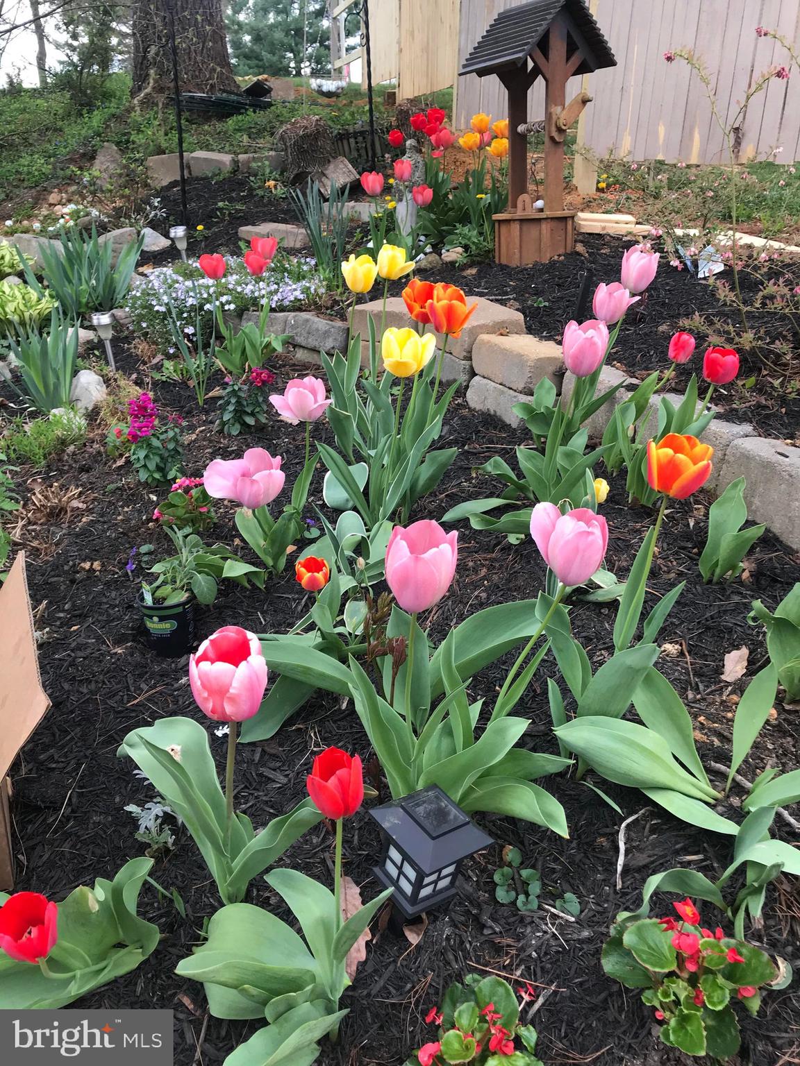 SHEN VALLEY GOLF - Residential