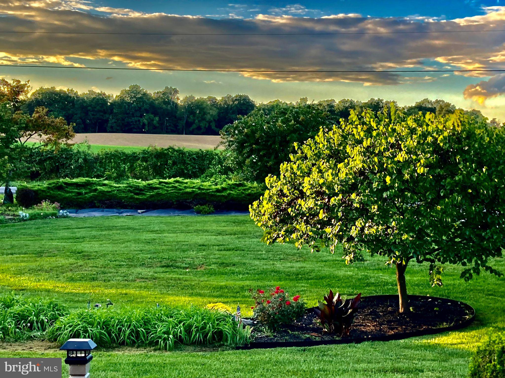 SHEN VALLEY GOLF - Residential