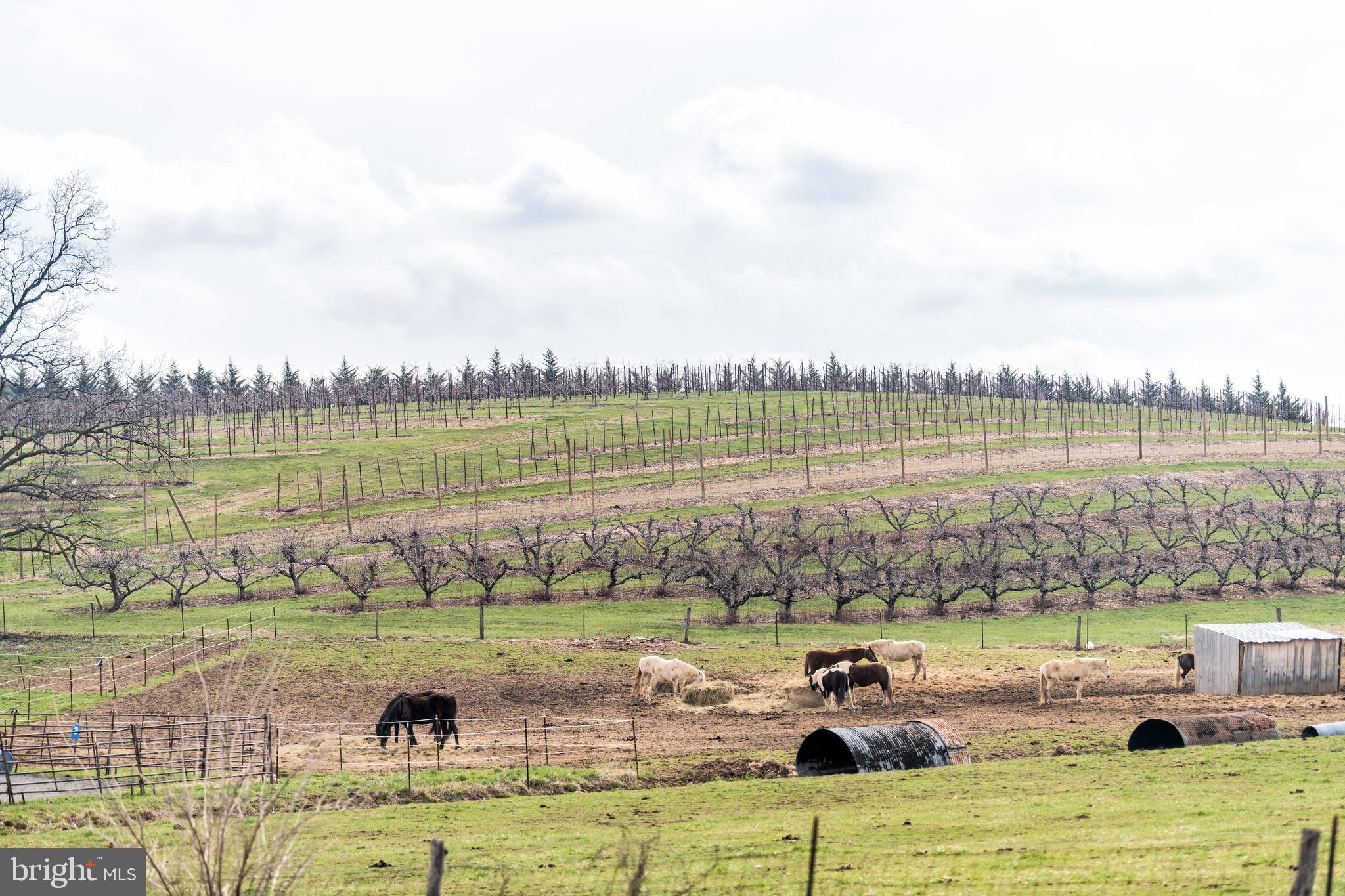 HARRISON - Residential