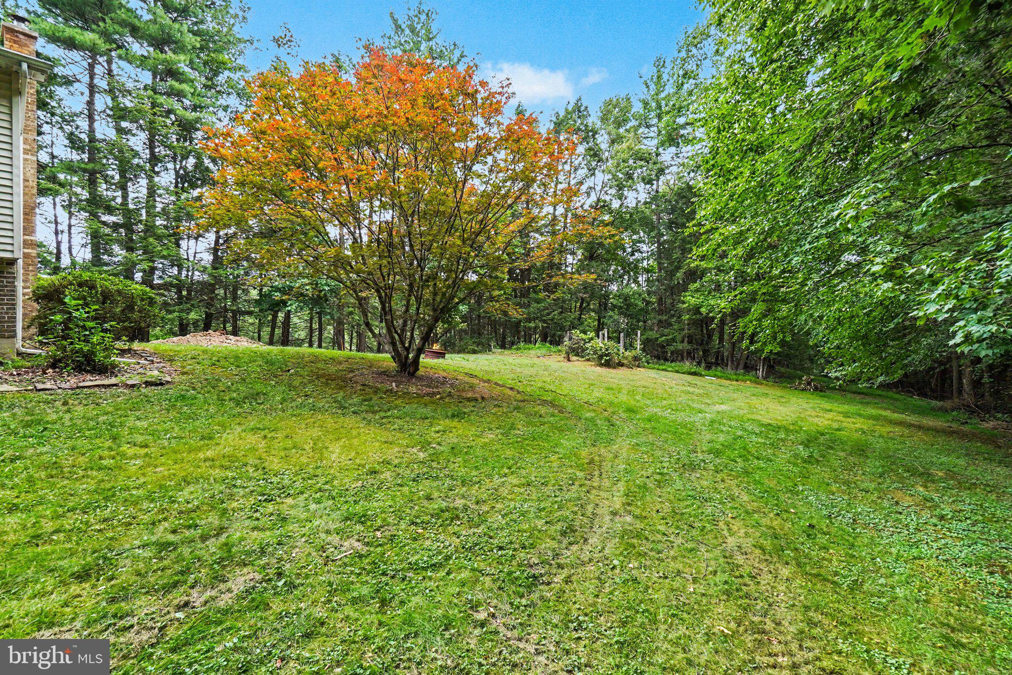 40 MONTEBELLO ROAD