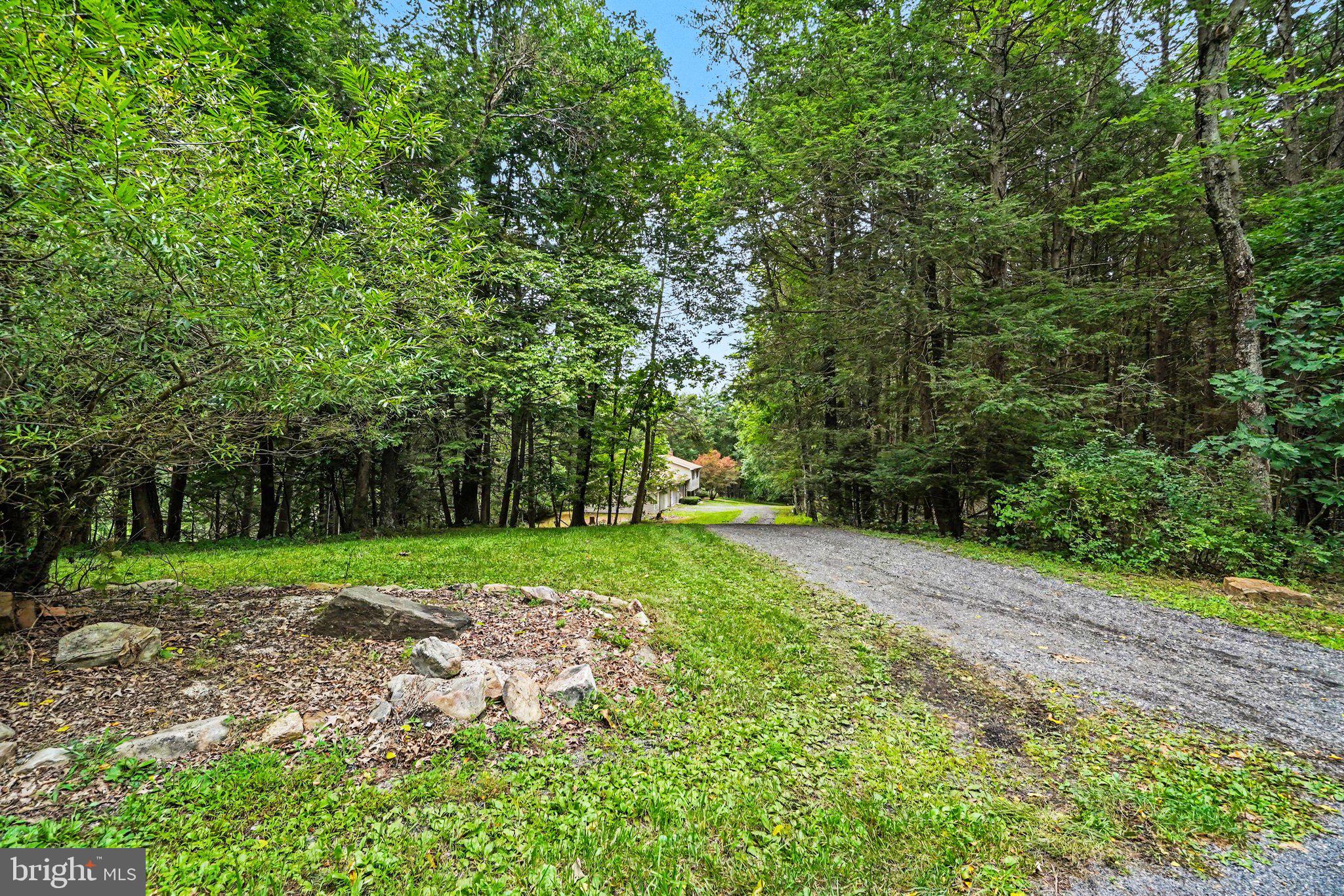 40 MONTEBELLO ROAD