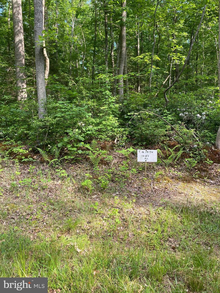 Buildable wooded lot on 10.82 acres. Country living and yet only 9 miles from the town of Culpeper.  Previous soil work on file for 4 bedroom conventional septic system.  Please call for details.