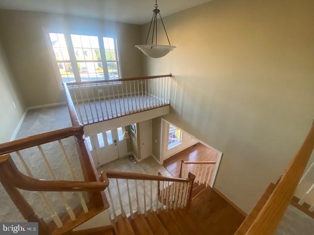 WALNUT POINT - Residential