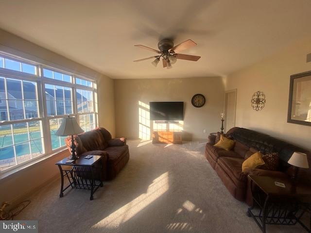 WALNUT POINT - Residential