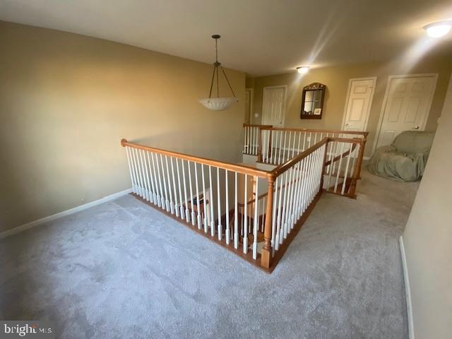 WALNUT POINT - Residential