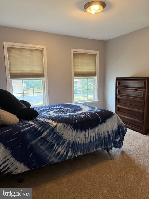 WALNUT POINT - Residential