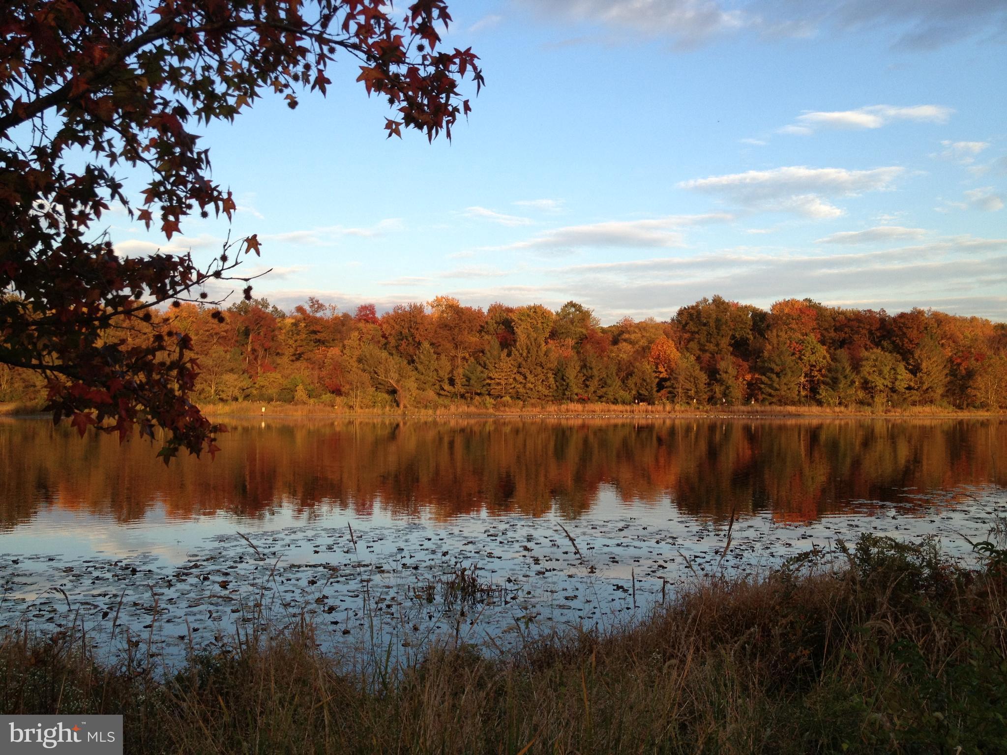 COLLEGE PARK ESTATES - Residential