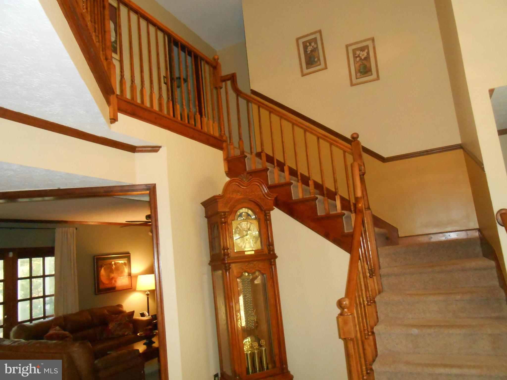 ORCHID PARK OF WILDEWOOD - Residential