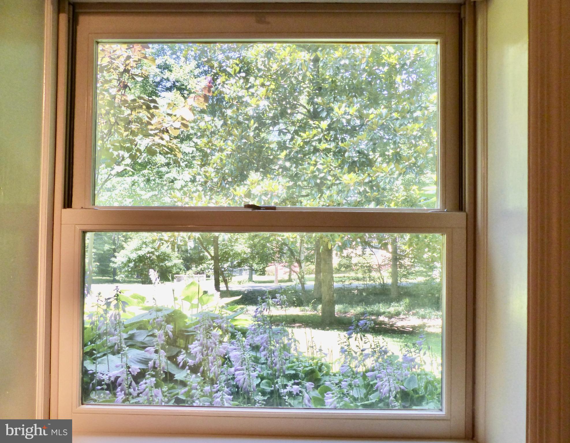 LEE FOREST - Residential Lease