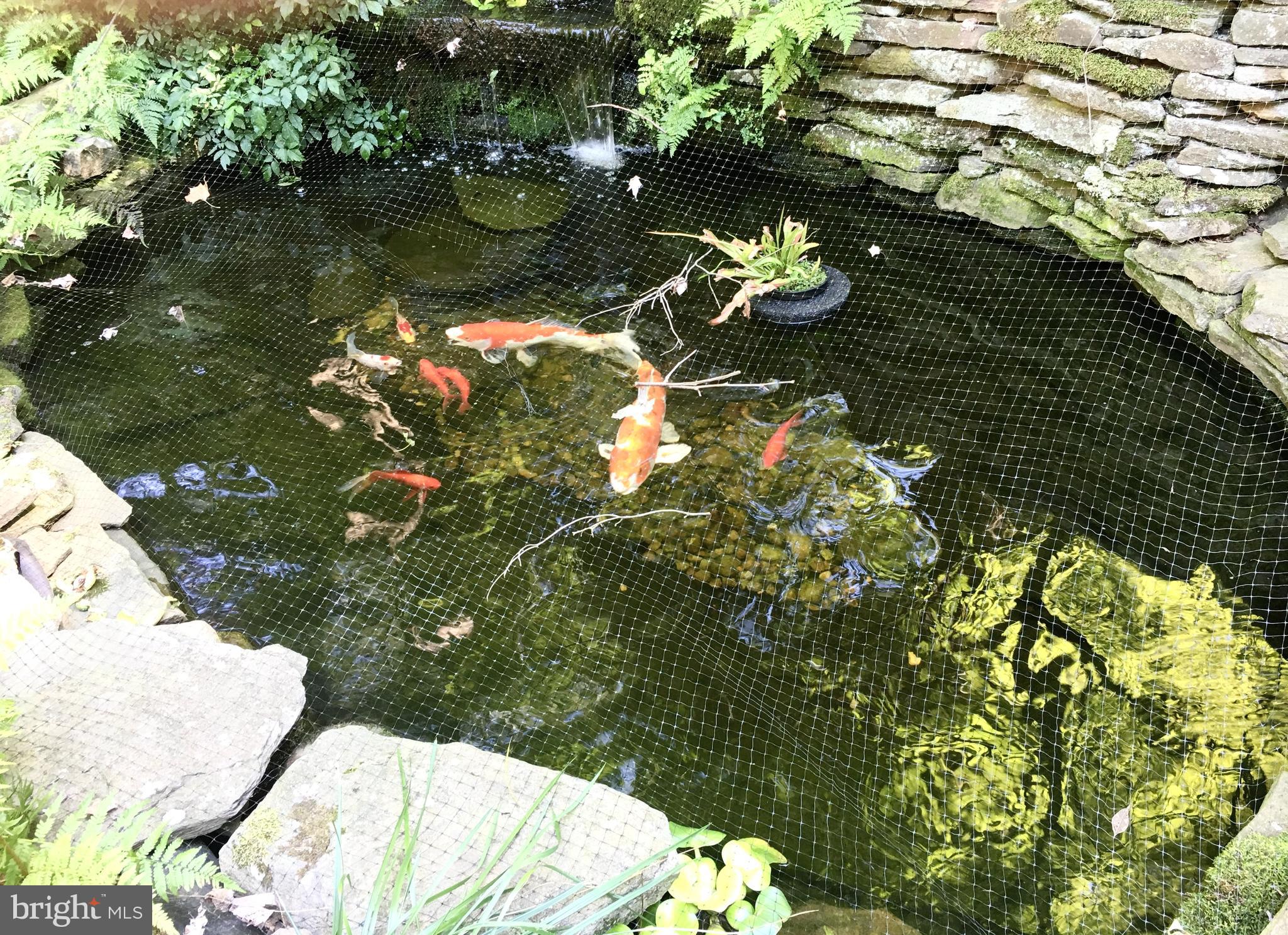 LEE FOREST - Residential Lease