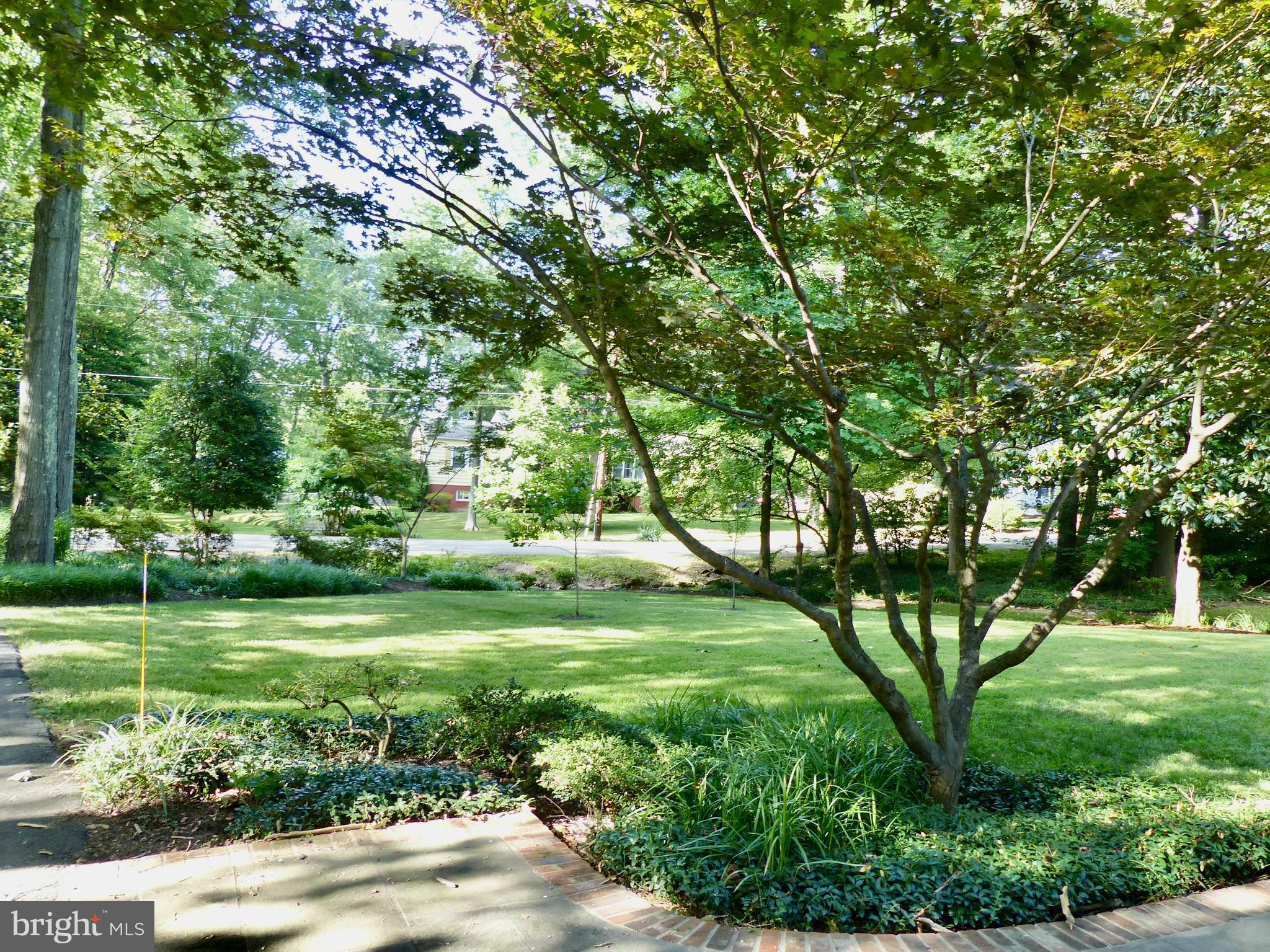 LEE FOREST - Residential Lease