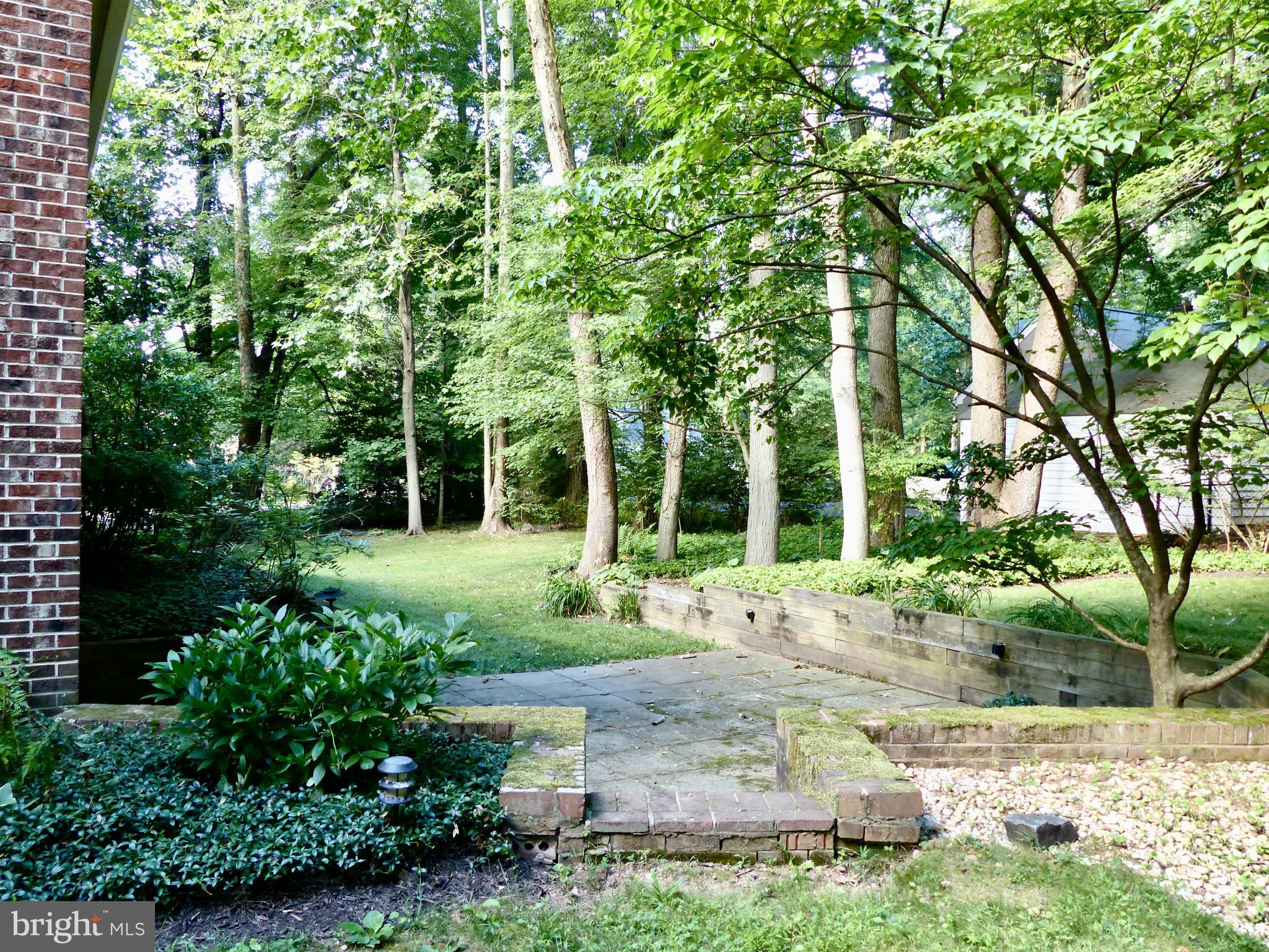 LEE FOREST - Residential Lease