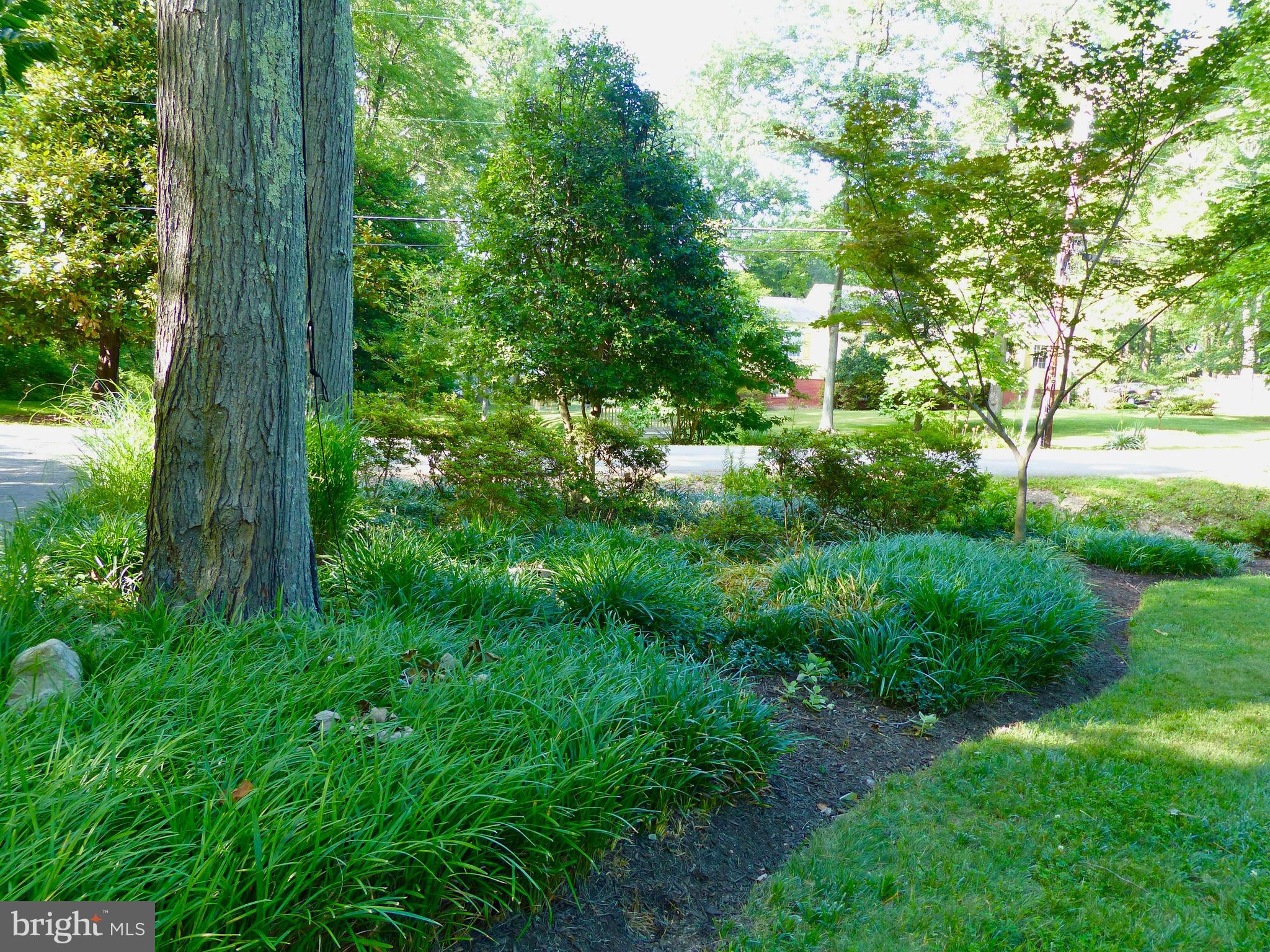 LEE FOREST - Residential Lease