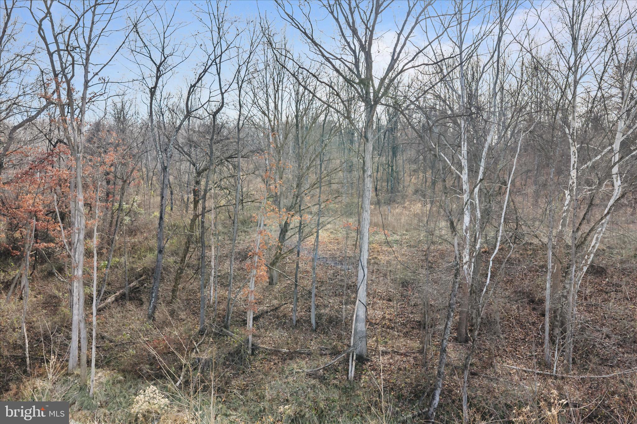 NONE AVAILABLE - Commercial Sale