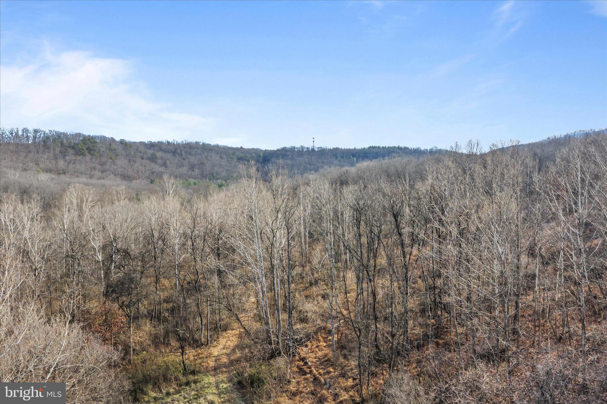 NONE AVAILABLE - Commercial Sale