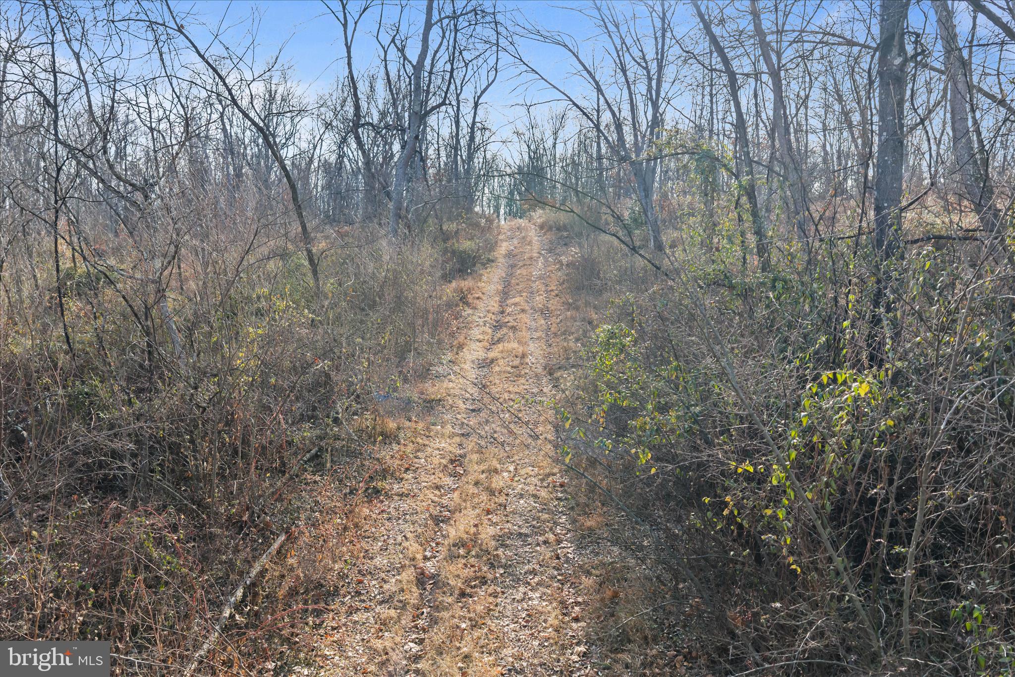 NONE AVAILABLE - Commercial Sale