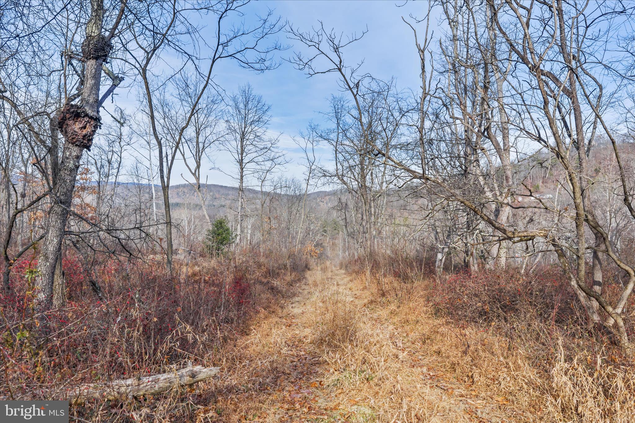 NONE AVAILABLE - Commercial Sale