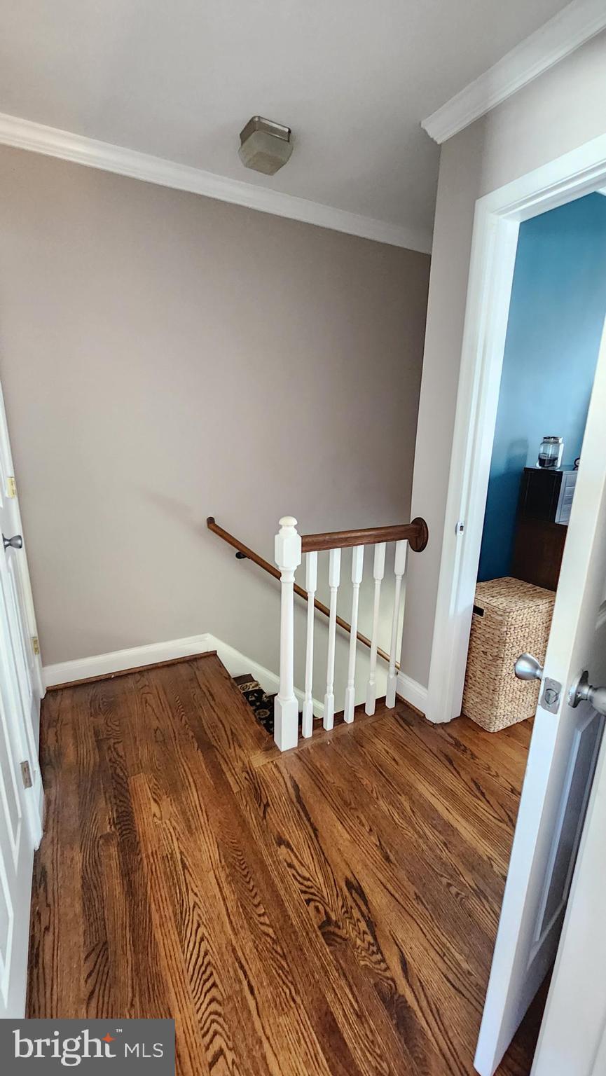 OLD TOWN - Residential Lease