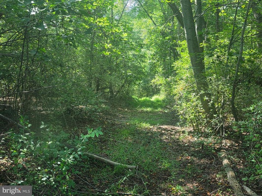 TERRYS RD, BERKELEY SPRINGS, WV 25411 - Image b28bfd2ab4f4062942b8fb69d5df367d/3579093027