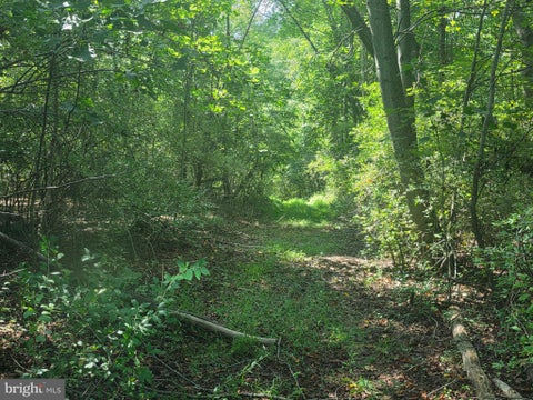 Vacant Land For Sale - Terry's Road #LOT 35A<br/> BERKELEY SPRINGS, WV 25411