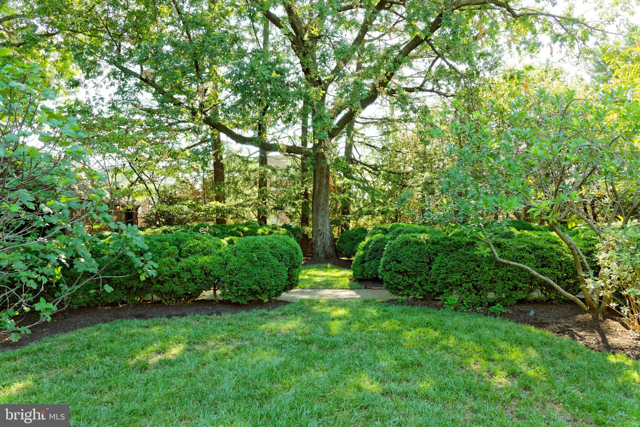 OLD TOWN - Residential