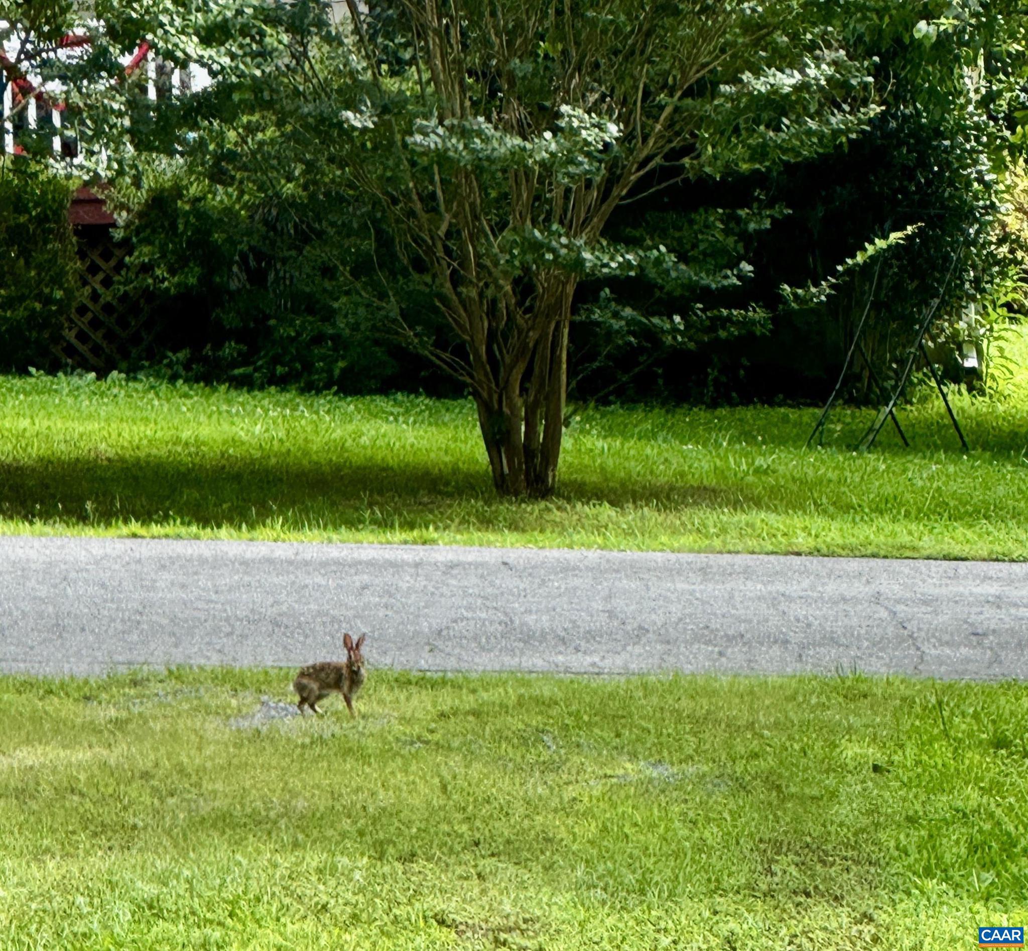 LAKE MONTICELLO - Residential