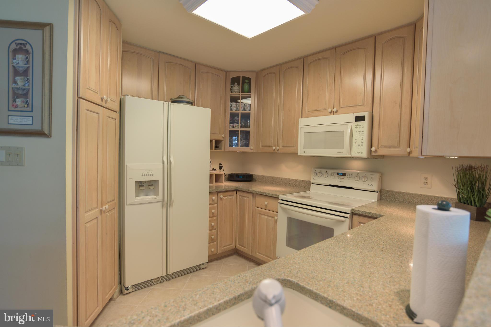 LIFESTYLE AT SULLY STATION - Residential